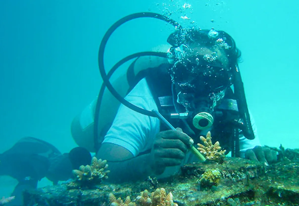 Image1