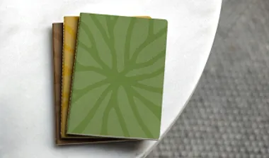 Image10