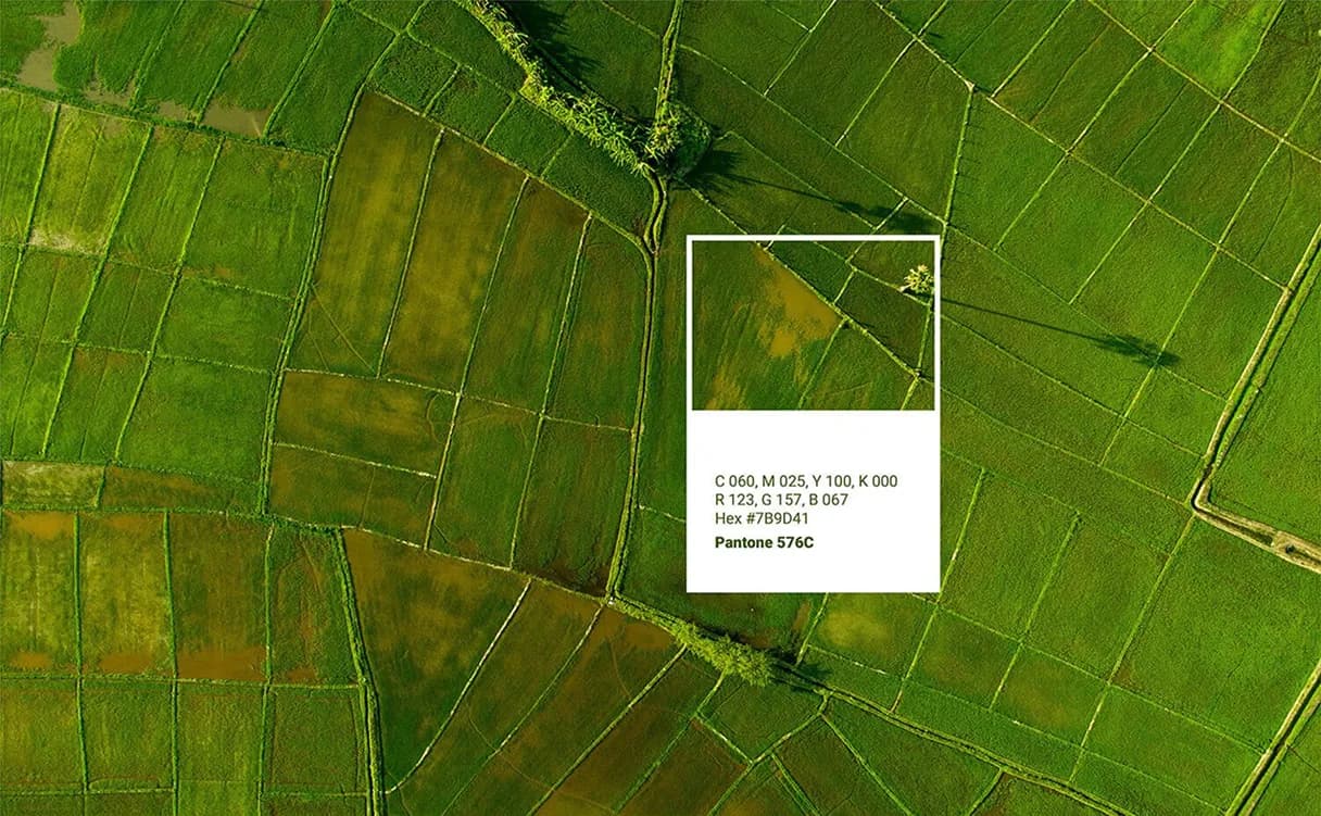 image-14