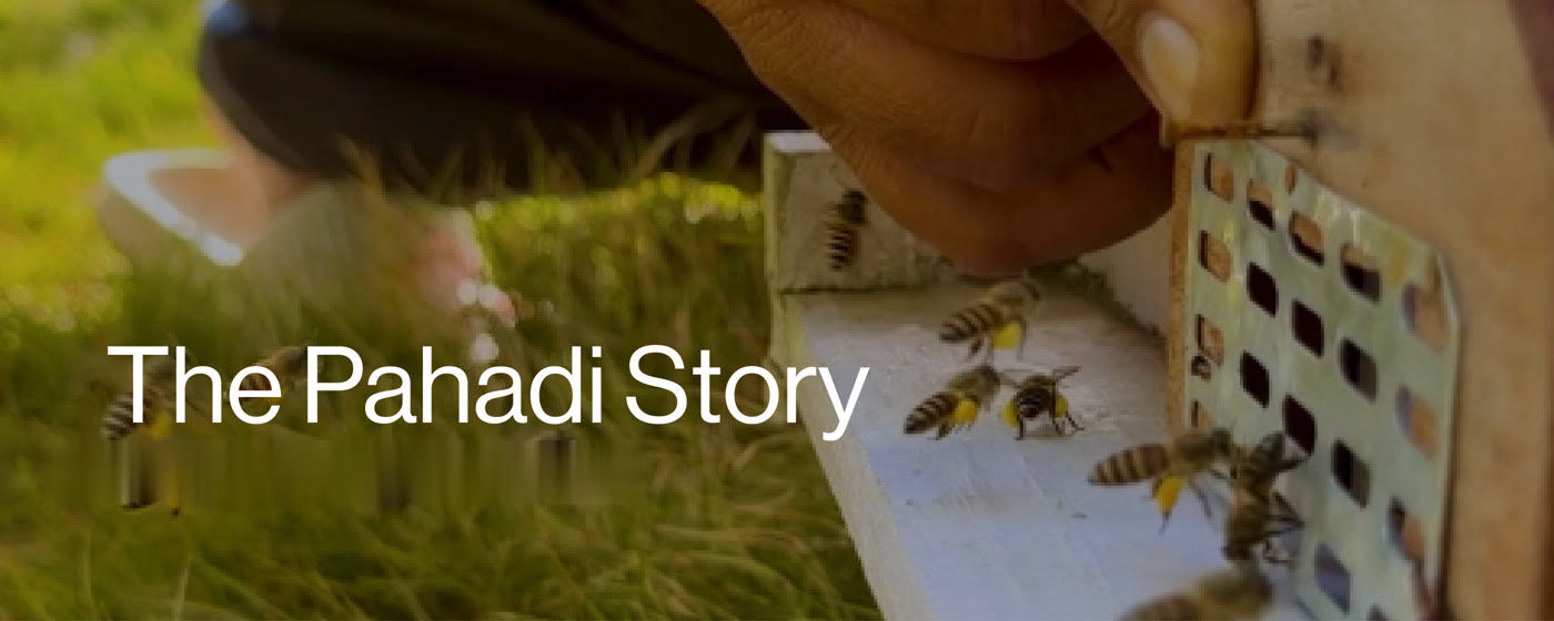 The Pahadi Story Honey